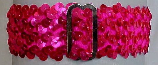 Shocking Pink Sequin Garter for Wedding Bridal Prom Fashion