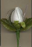 Silk White Rose Bud Boutonniere for Winter Dance